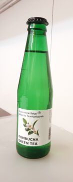 Kombucha, starter liquide, scooby, Belgique, Belgie, Belgium, Aainvest sprl