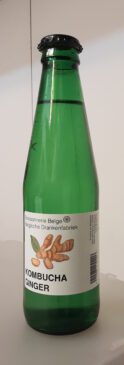 Kombucha, starter liquide, scooby, Belgique, Belgie, Belgium, Aainvest sprl