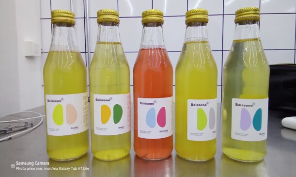 Boisson drink kombucha, starter liquide scooby